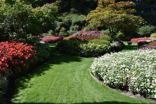 Les secrets du jardinage écologique pour un espace vert durable