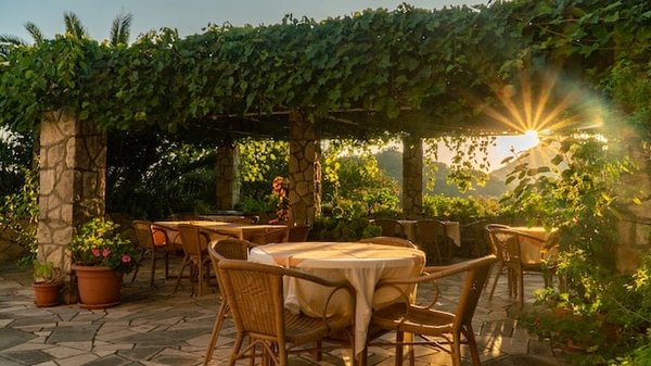 Comment transformer votre balcon en un jardin luxuriant : Astuces et conseils pratiques