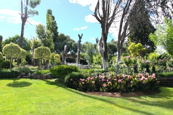 L'art du Jardinage Urbain : Comment Créer une Oasis avec Arbres, Plantes et Fleurs en Ville